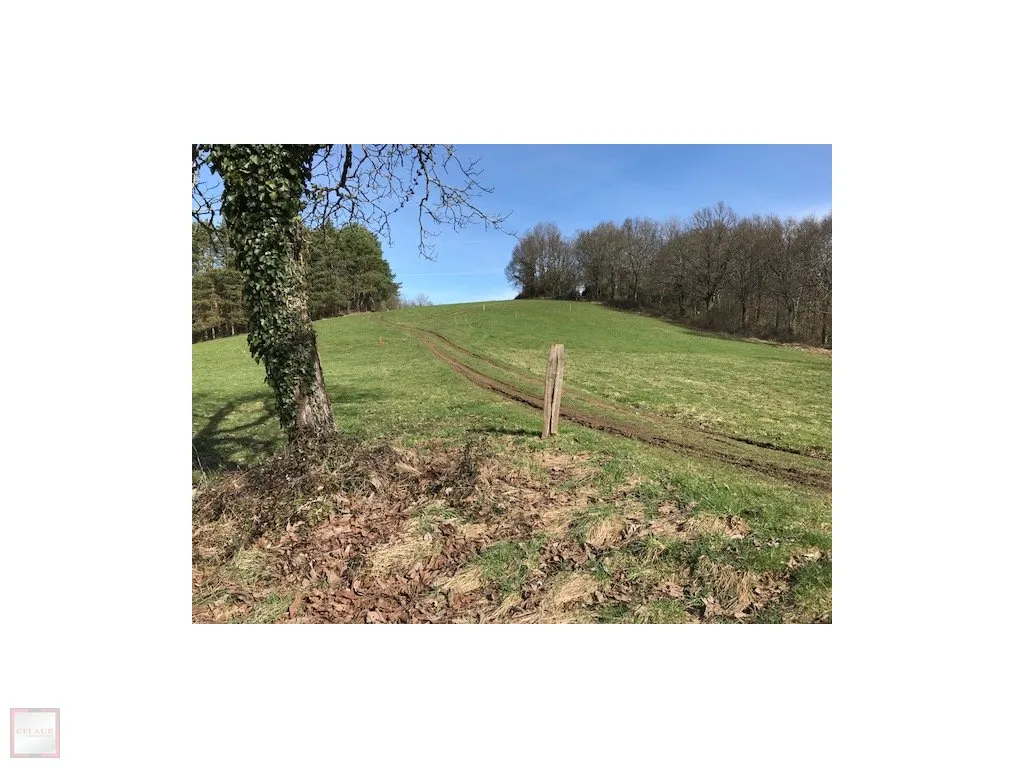 BEAU TERRAIN PLAT A BATIR