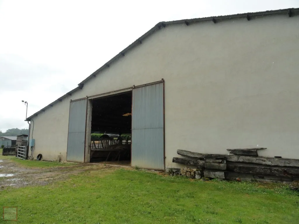 FARM WITH 13 HECTARES