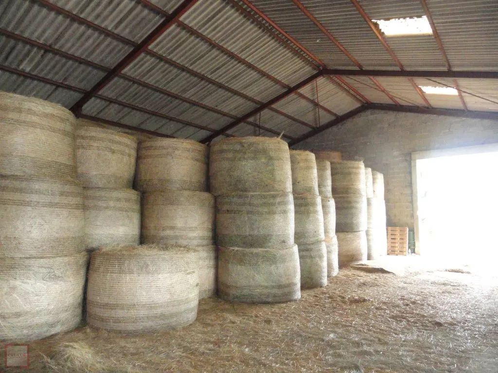 FARM WITH 13 HECTARES