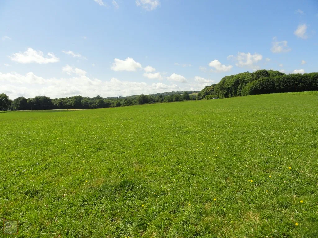 FARM WITH 13 HECTARES