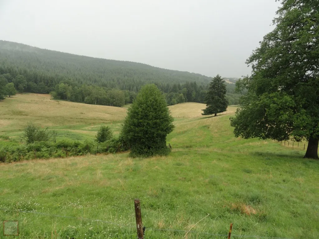 FARM WITH 13 HECTARES