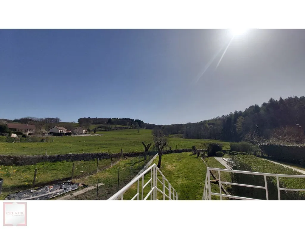 MAISON DE BOURG EN PIERRE AVEC JARDIN
