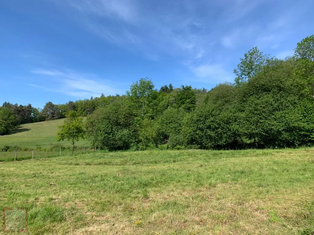 SUPERB PROPERTY WITH VIEW, LAND AND OUTBUILDINGS