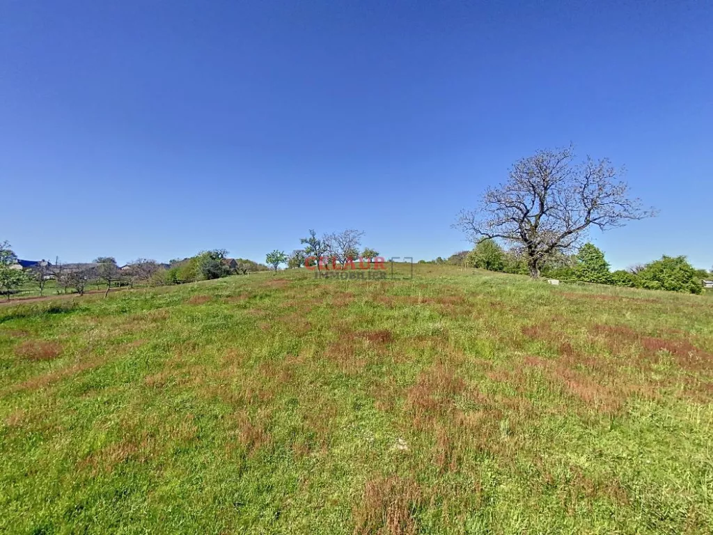 FARMHOUSE ON 2.5 HA - DORDOGNE VALLEY HEIGHTS
