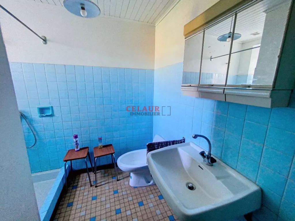 FARMHOUSE ON 2.5 HA - DORDOGNE VALLEY HEIGHTS