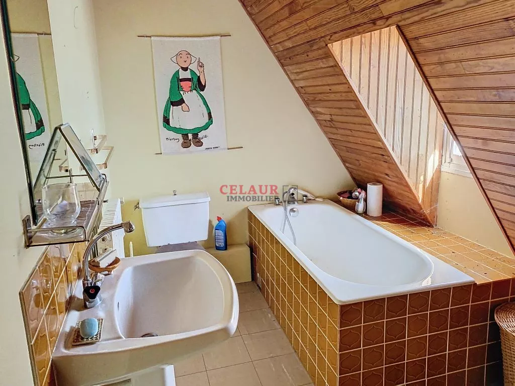 SET OF CHARACTER: HOUSE + GITE ON 5783 M²