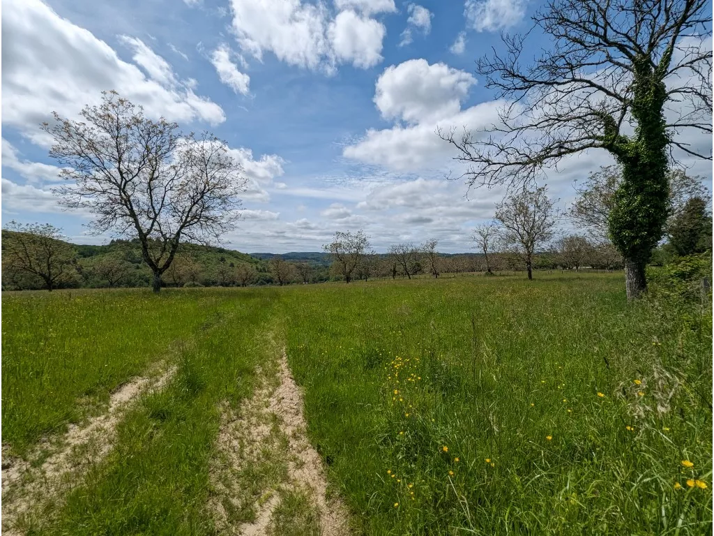 TERRAIN CONSTRUCTIBLE