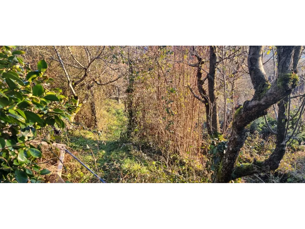 Terrain à bâtir sur des hauteurs