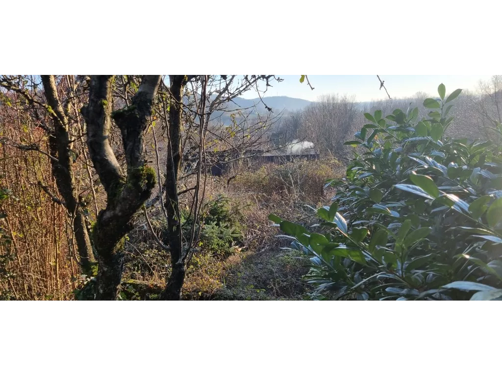 Terrain à bâtir sur des hauteurs