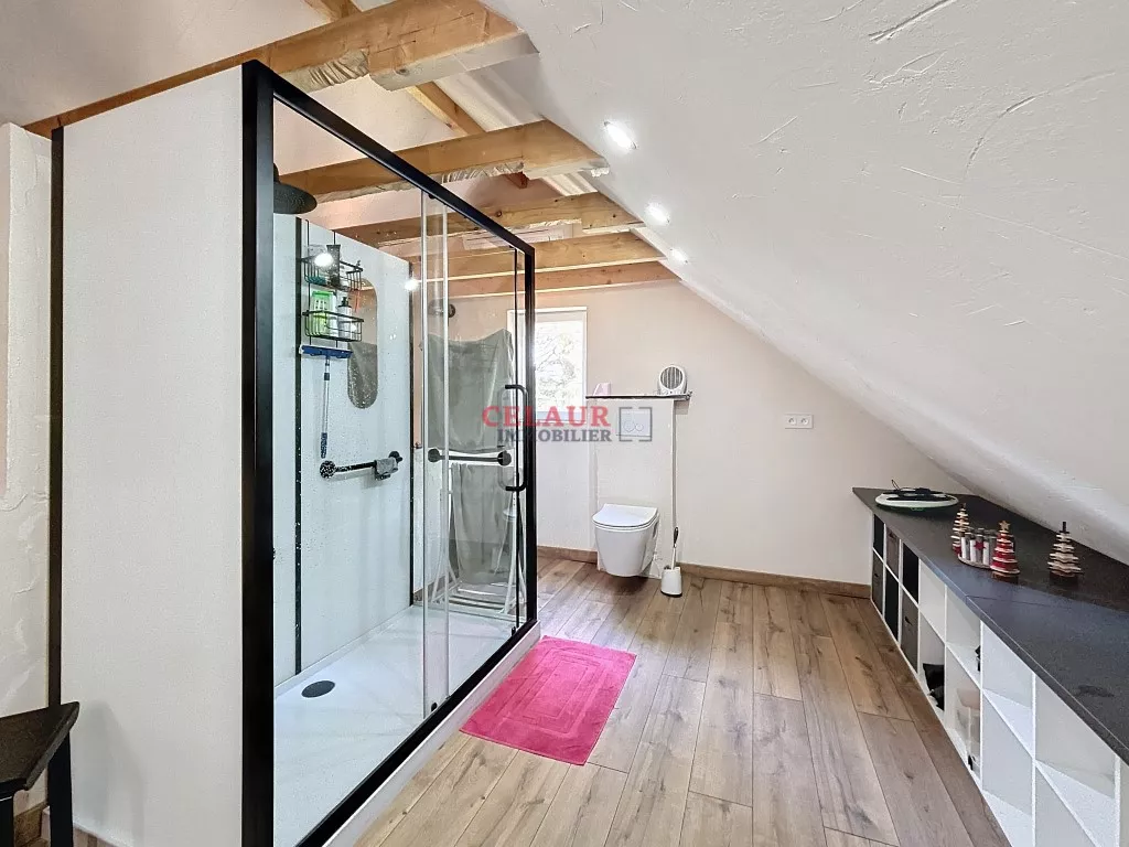 MAISON EN PIERRE RÉNOVÉE AVEC GRANGE, HANGARS, BATIMENT DE STOCKAGE ET TERRAIN