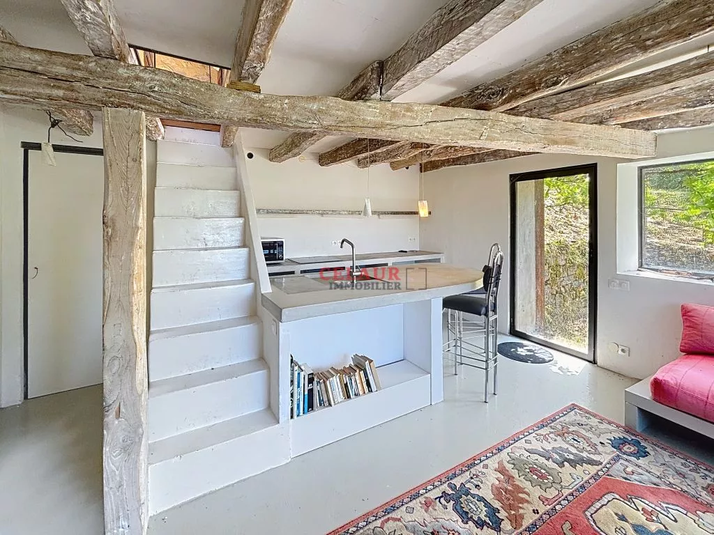 2 RESTORED HOUSES WITH POOL VIEW OF THE DORDOGNE