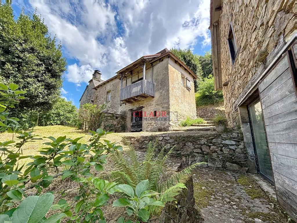 2 RESTORED HOUSES WITH POOL VIEW OF THE DORDOGNE