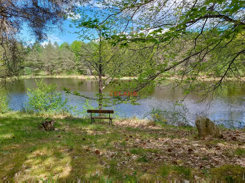 BEL ETANG AVEC CHALET
