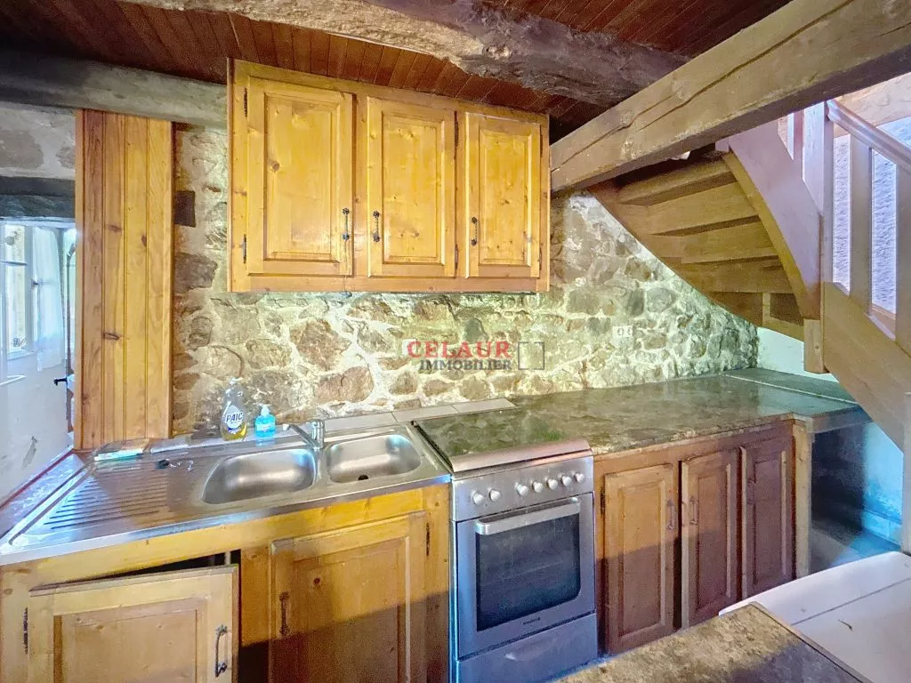 JOLIE PETITE MAISON EN PIERRE SANS VOISINS AUTOUR