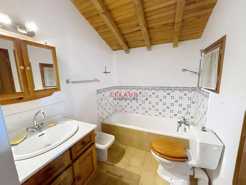 JOLIE PETITE MAISON EN PIERRE SANS VOISINS AUTOUR