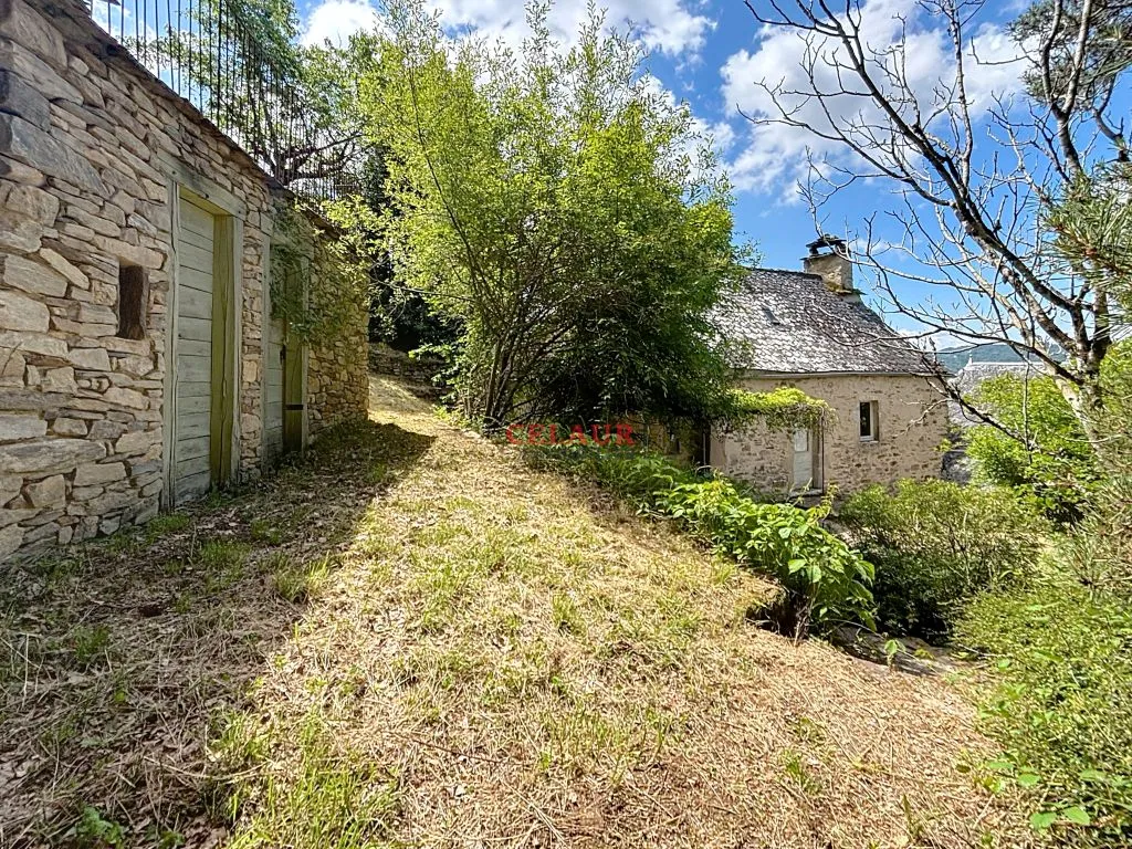 2 RESTORED HOUSES WITH POOL VIEW OF THE DORDOGNE