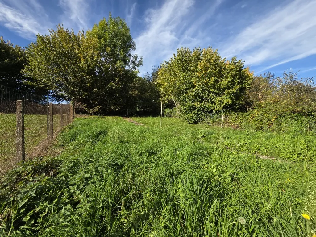 MAISON ET SON JARDIN