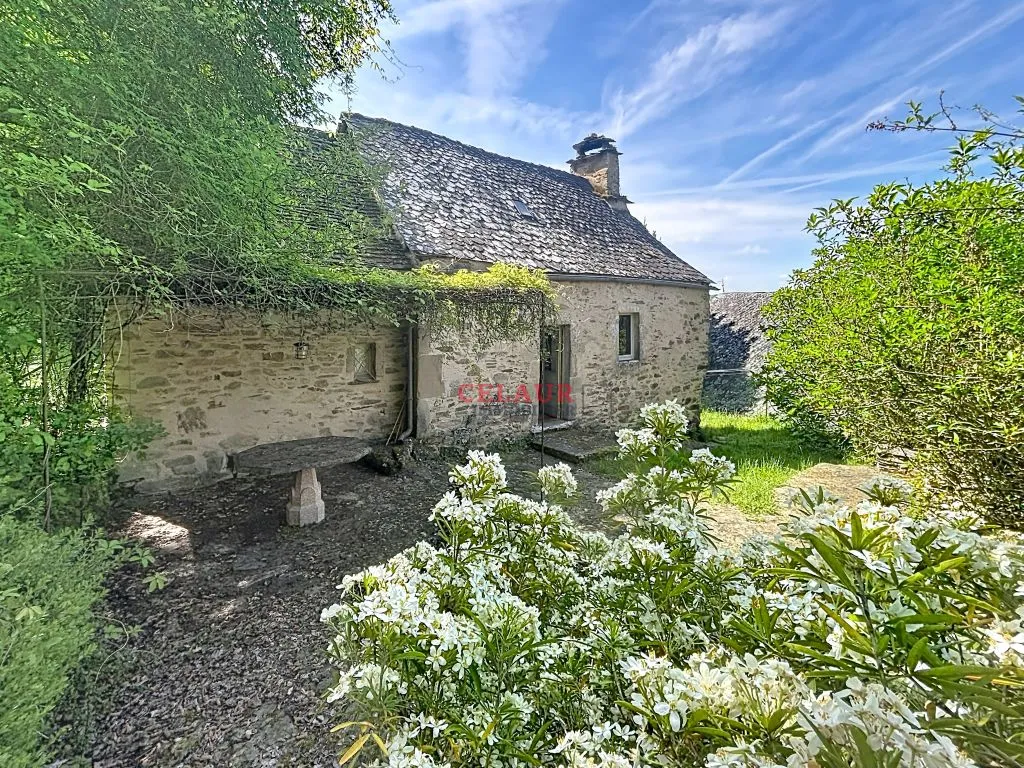 2 RESTORED HOUSES WITH POOL VIEW OF THE DORDOGNE