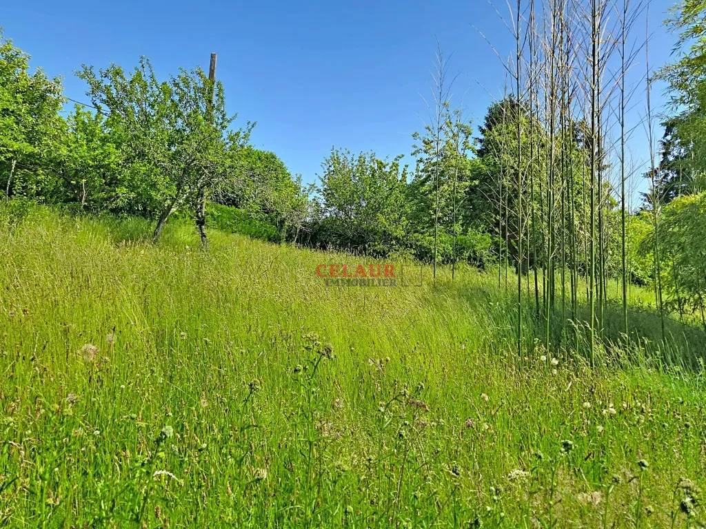 MAISON AVEC VIE DE PLAIN PIED
