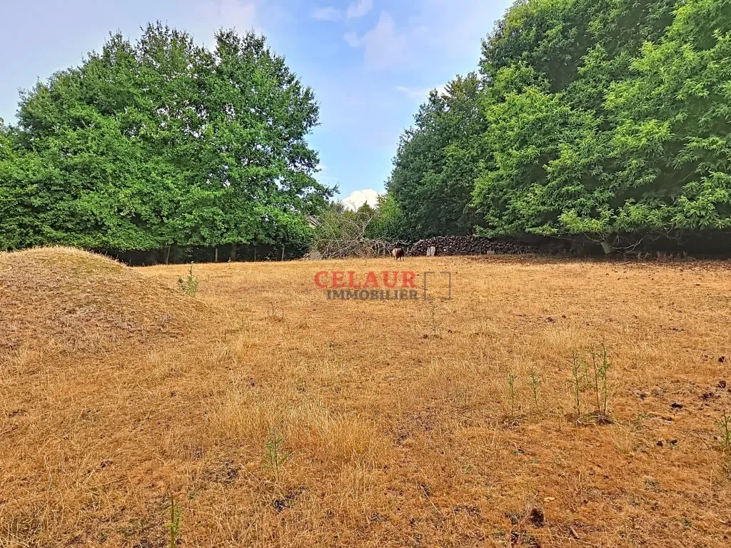 AGREABLE MAISON EN PIERRE ET SA D&Eacute;PENDANCE