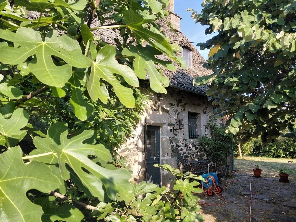 Belle maison en pierre et terrain