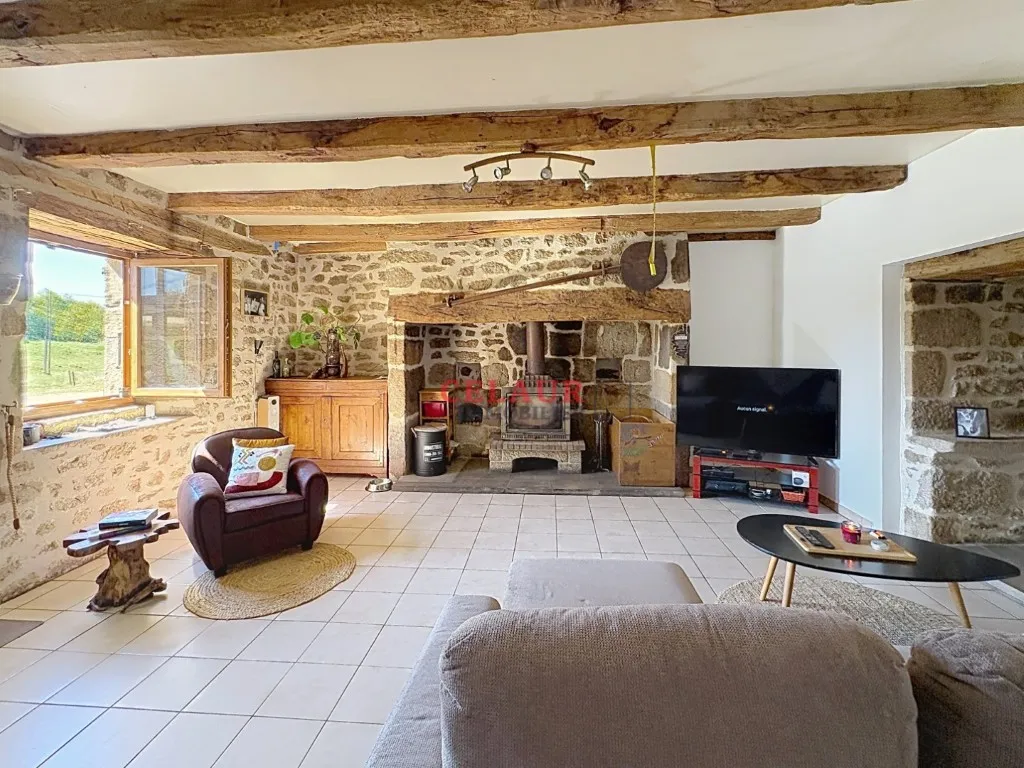 Propri&eacute;t&eacute; maison pierre piscine et grange