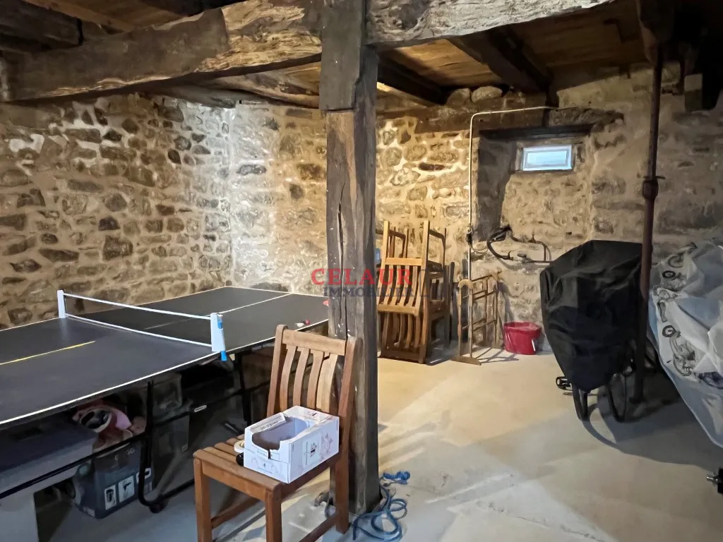 Belle maison en pierre r&eacute;nov&eacute;e avec garage